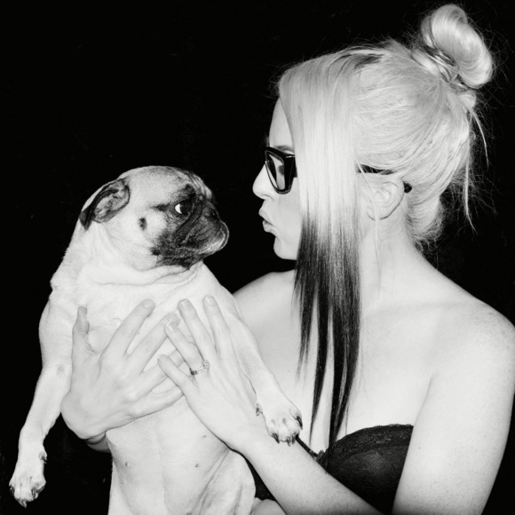 Meet your Posher, Amber - Picture 1 of 1